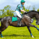 The Psychology of a Jockey: What Makes a Great Rider?