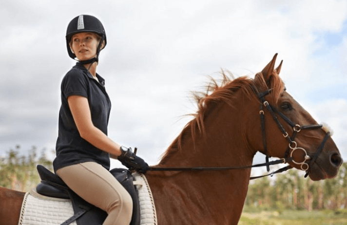 How to Follow Horse Racing Results in Real-Time