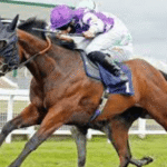 Why Do Horses Wear Blinkers in Races?