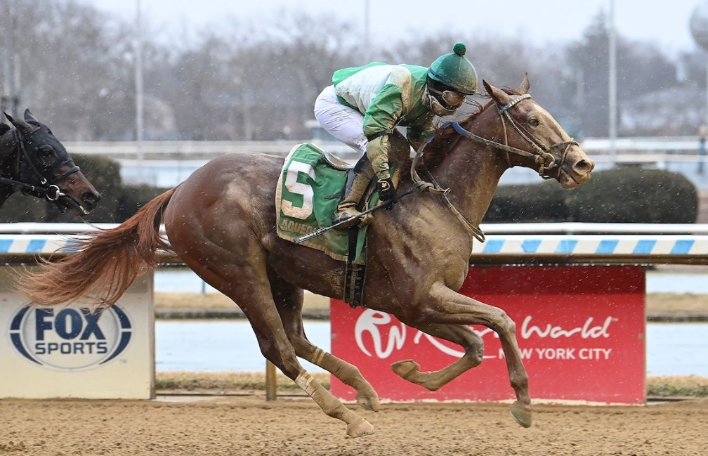 oceanneturf || oceanne turf || ocean turf || oceane turf || oceanneturf pmu