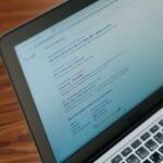 internet query intent identifiers and domains