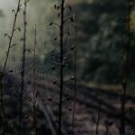 web entity behavior tracking analysis